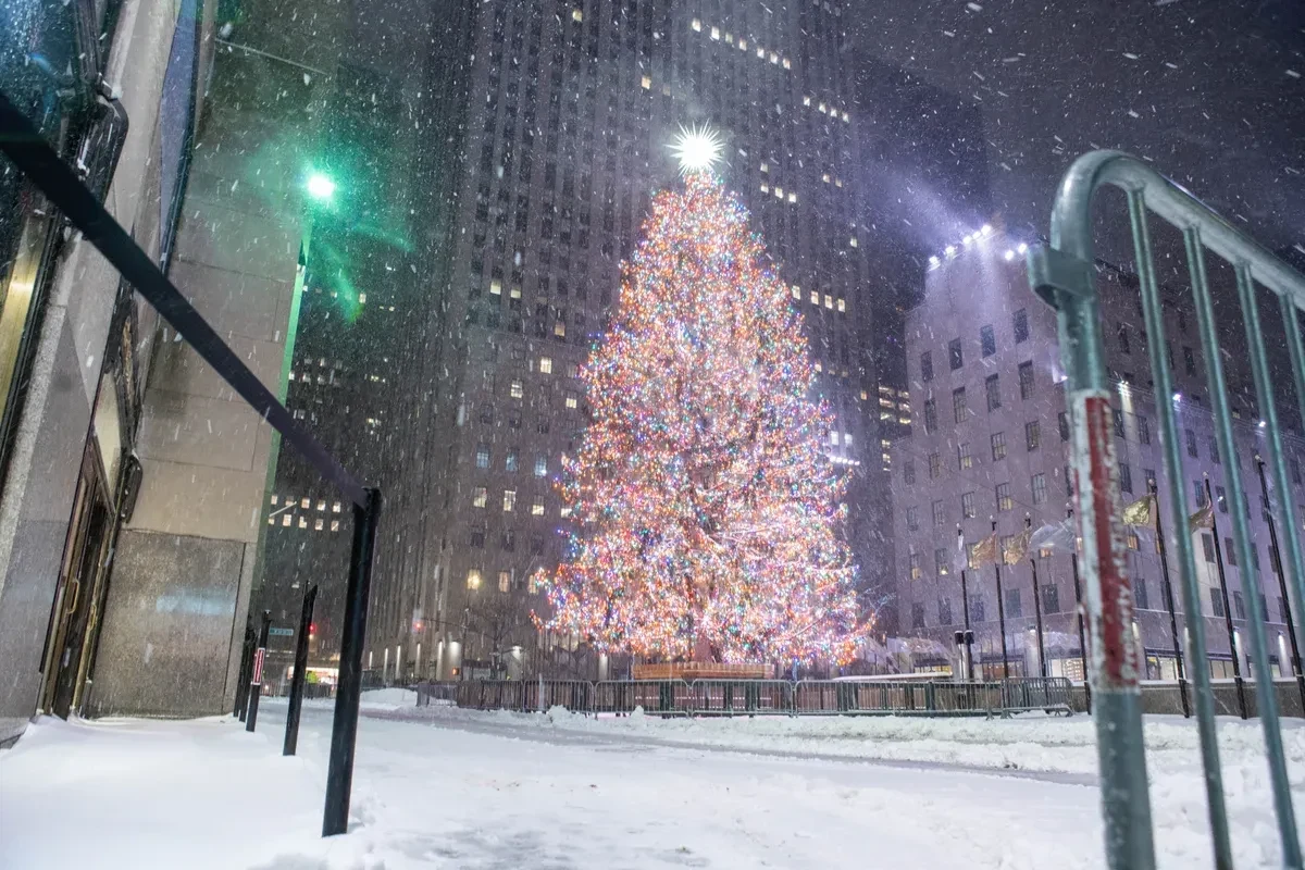The Rockefeller Center Christmas tree in falling snow, near the end of a Dyker Heights bus tour
